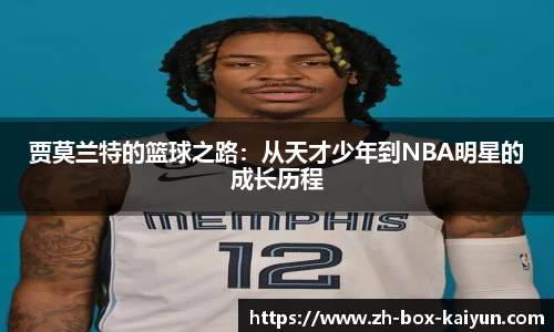 开云网页版
