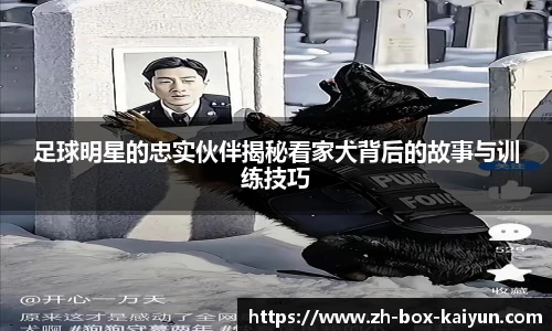 足球明星的忠实伙伴揭秘看家犬背后的故事与训练技巧