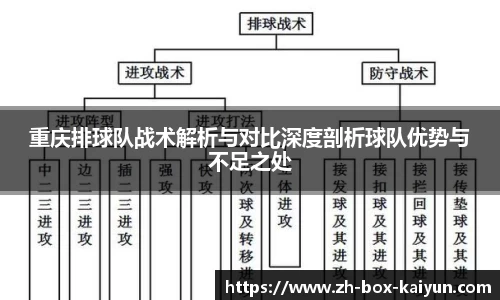 重庆排球队战术解析与对比深度剖析球队优势与不足之处